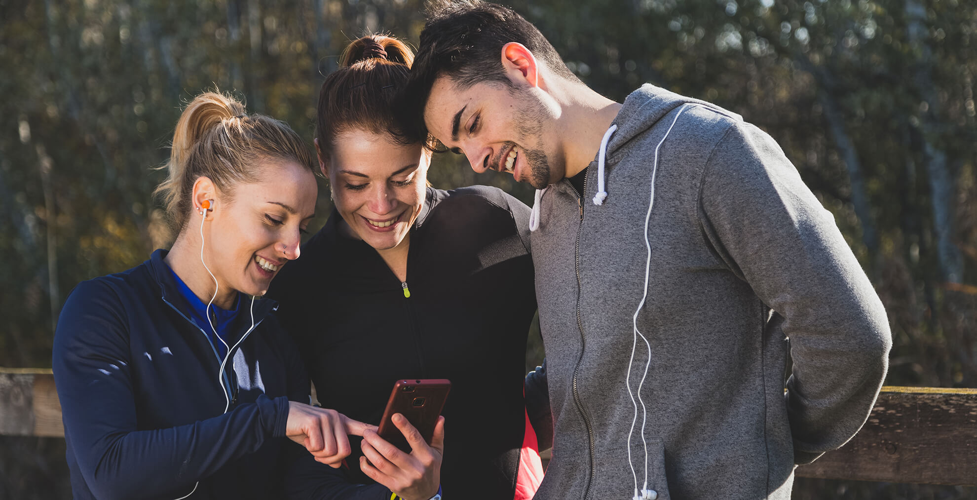 novafit energy afiliados