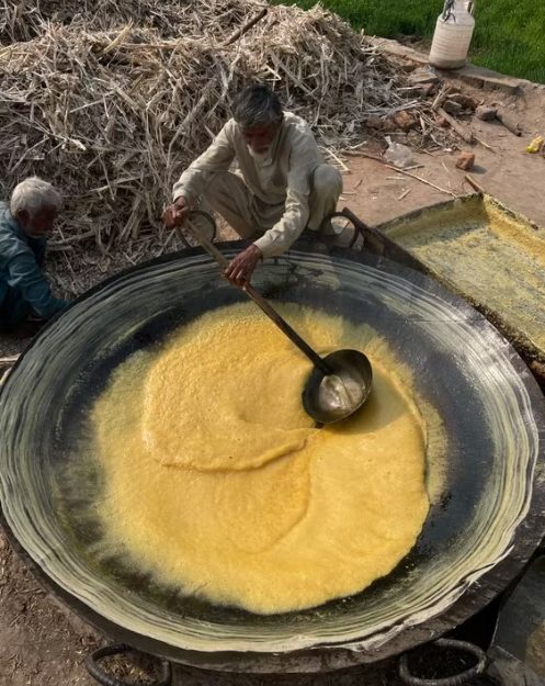 Golden Sugar: elaboración artesanal de azúcar de caña no centrifugado, la meladura antes de cristalizar