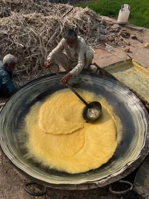 Golden Sugar: elaboración artesanal de azúcar de caña no centrifugado, la meladura antes de cristalizar