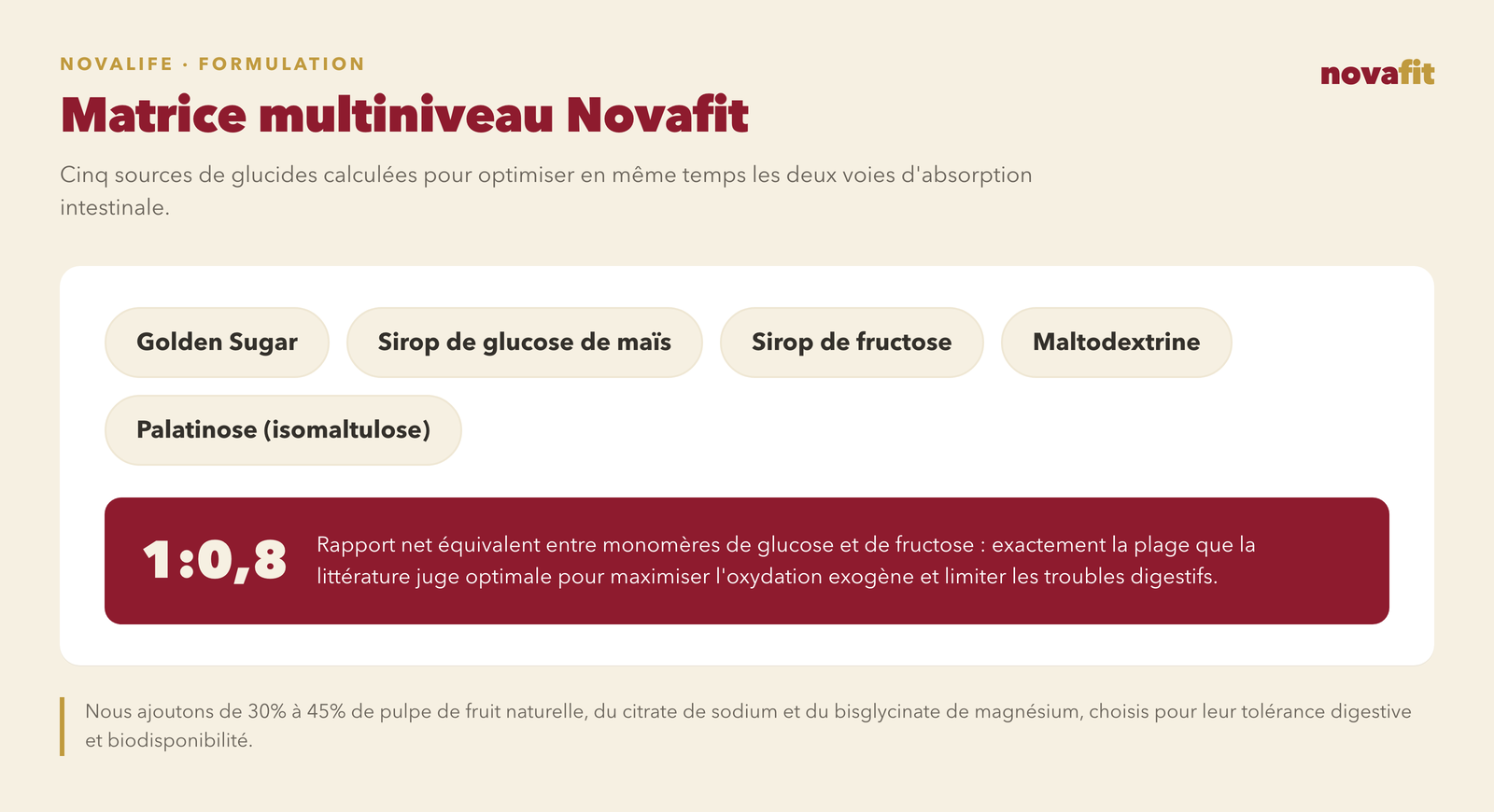 Matrice multiniveau Novafit : cinq sources de glucides — Golden Sugar, sirop de glucose de maïs, sirop de fructose, maltodextrine et Palatinose (isomaltulose)