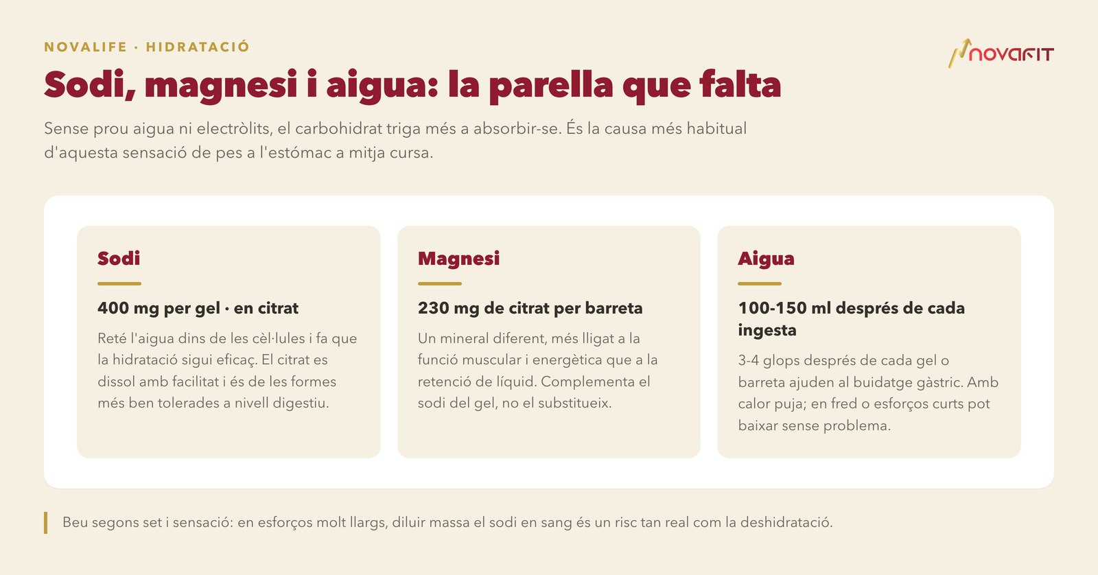 Sodi, magnesi i aigua: la parella que falta — Sodi: 400 mg per gel · en citrat; Magnesi: 230 mg de citrat per barreta; Aigua: 100-150 ml després de cada ingesta
