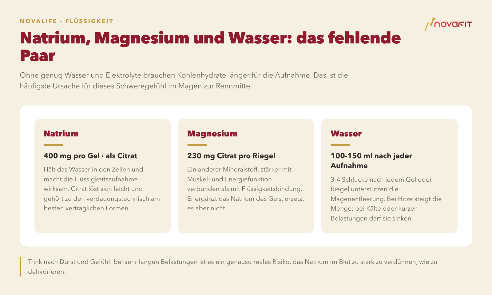 Natrium, Magnesium und Wasser: das fehlende Paar — Natrium: 400 mg pro Gel · als Citrat; Magnesium: 230 mg Citrat pro Riegel; Wasser: 100-150 ml nach jeder Aufnahme