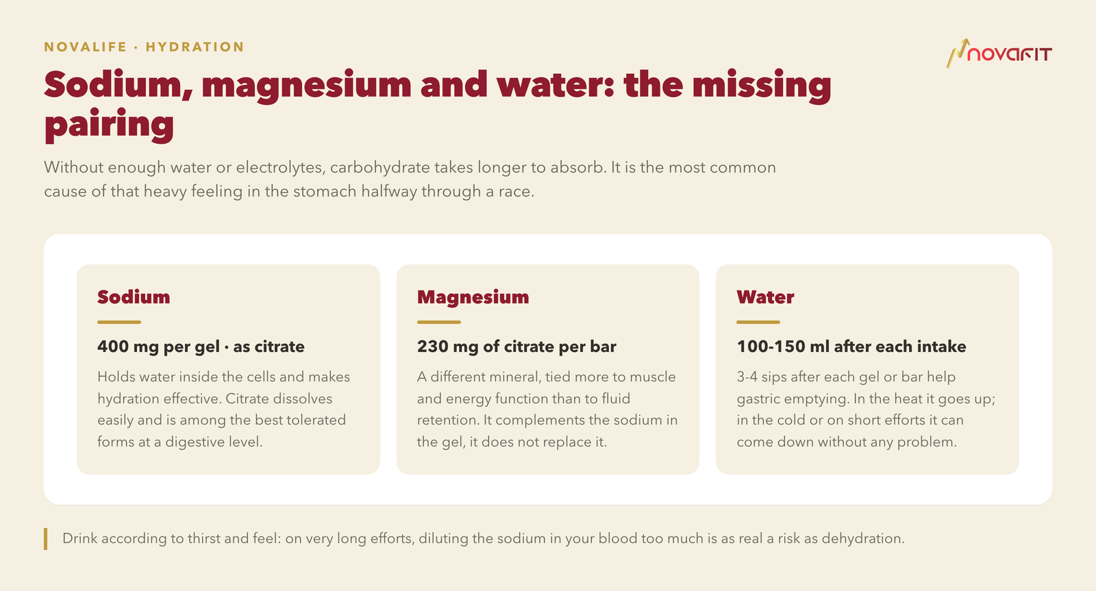 Sodium, magnesium and water: the missing pairing — Sodium: 400 mg per gel · as citrate; Magnesium: 230 mg of citrate per bar; Water: 100-150 ml after each intake