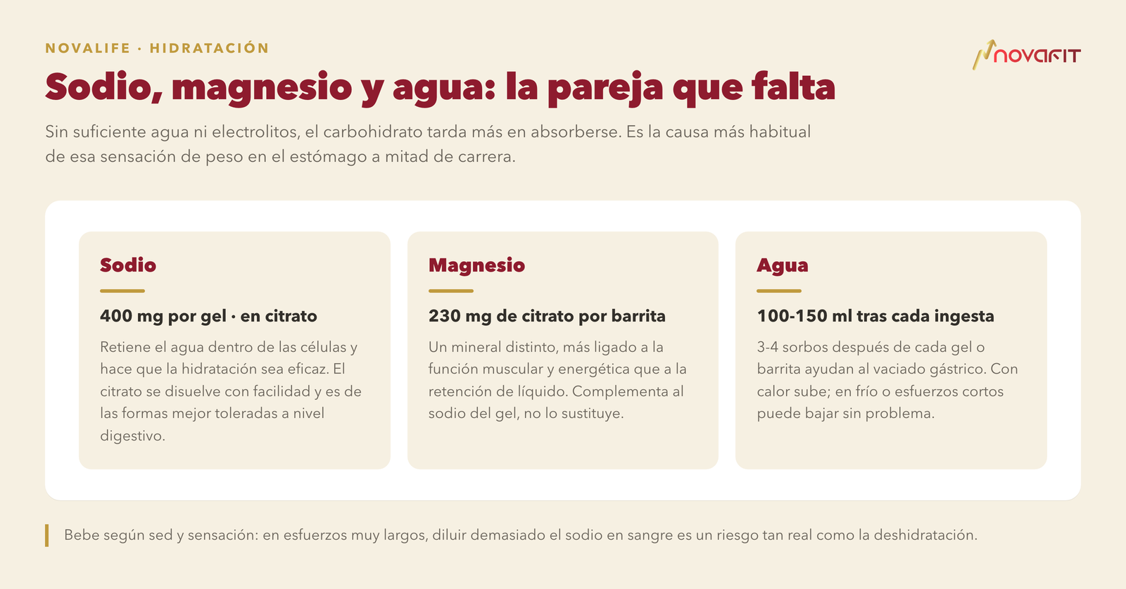 Sodio, magnesio y agua: la pareja que falta — Sodio: 400 mg por gel · en citrato; Magnesio: 230 mg de citrato por barrita; Agua: 100-150 ml tras cada ingesta