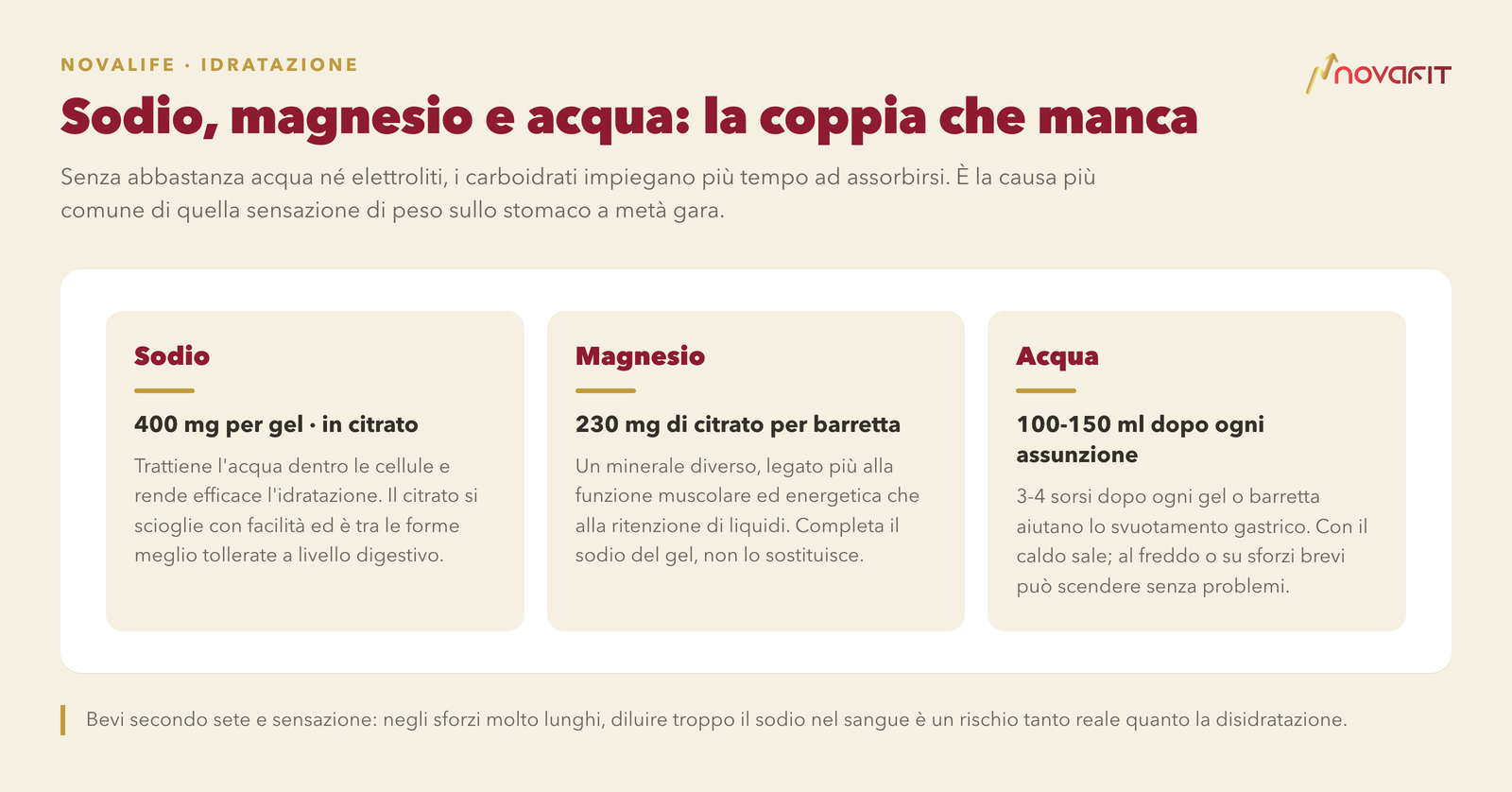 Sodio, magnesio e acqua: la coppia che manca — Sodio: 400 mg per gel · in citrato; Magnesio: 230 mg di citrato per barretta; Acqua: 100-150 ml dopo ogni assunzione